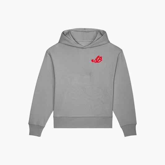 AP DAILY HOODIE GREY
