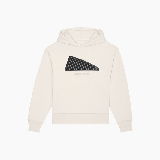 AP F PANNEL HOODIE